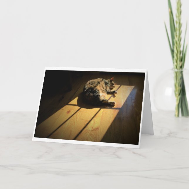 Días lentos, tarjeta (Anverso)