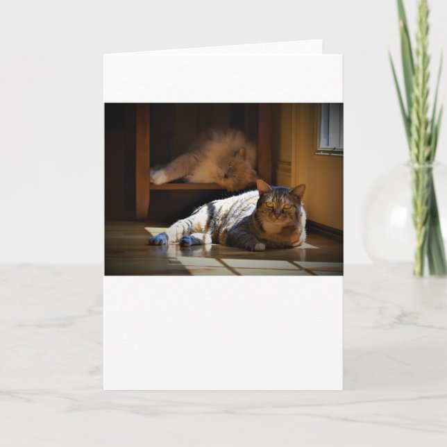 Días lentos, tarjeta (Anverso)