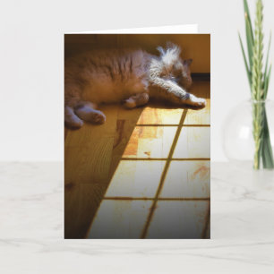 Días lentos, tarjeta