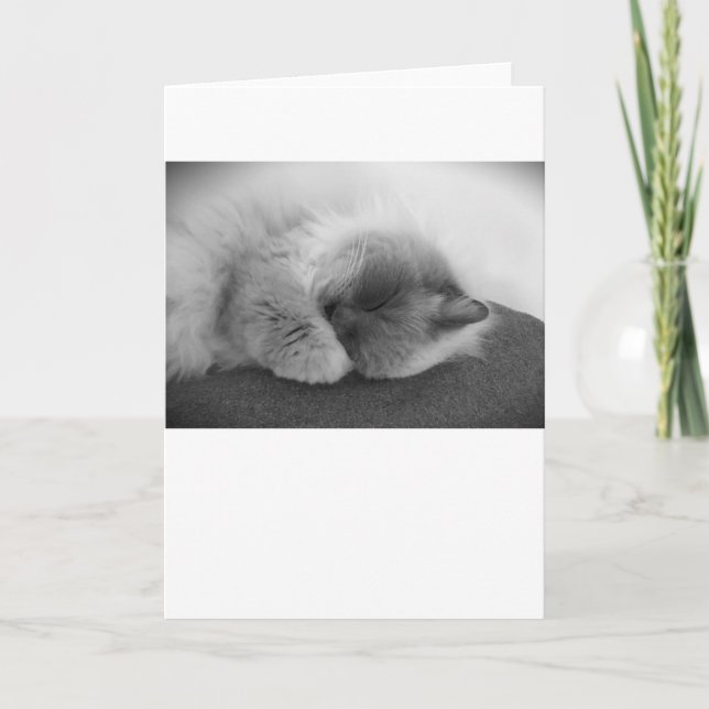 Días lentos, tarjeta (Anverso)