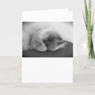 Días lentos, tarjeta