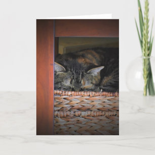 Días lentos, tarjeta