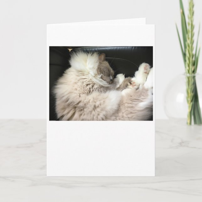 Días lentos, tarjeta (Anverso)