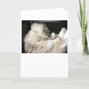 Días lentos, tarjeta