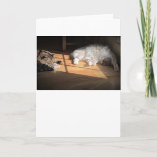 Días lentos, tarjeta