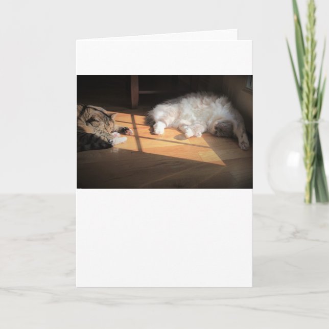 Días lentos, tarjeta (Anverso)