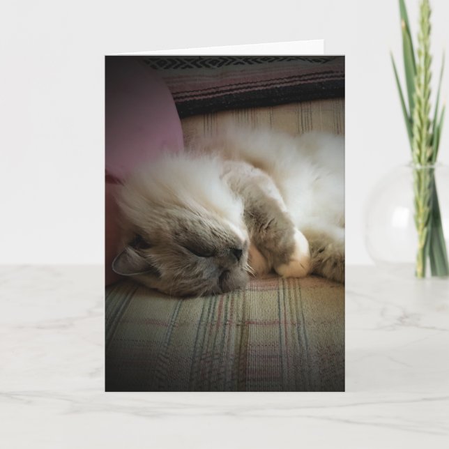 Días lentos, tarjeta (Anverso)