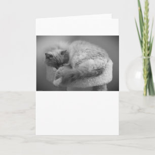 Días lentos, tarjeta