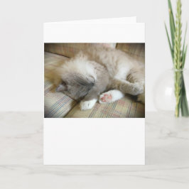 Días lentos, tarjeta