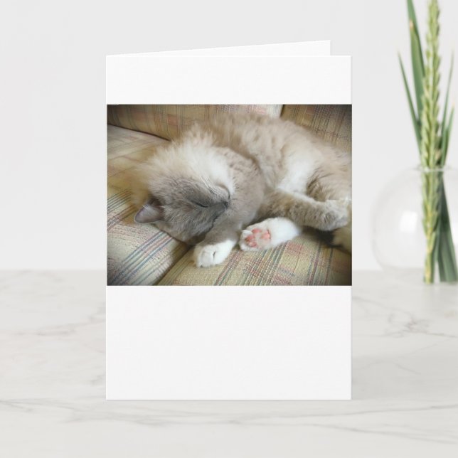 Días lentos, tarjeta (Anverso)