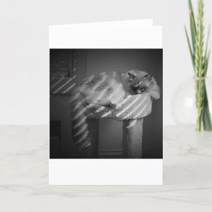 Días lentos, tarjeta