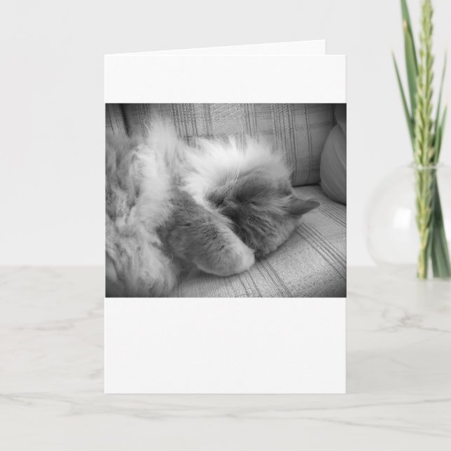 Días lentos, tarjeta (Anverso)