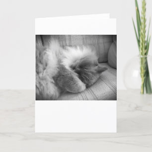 Días lentos, tarjeta