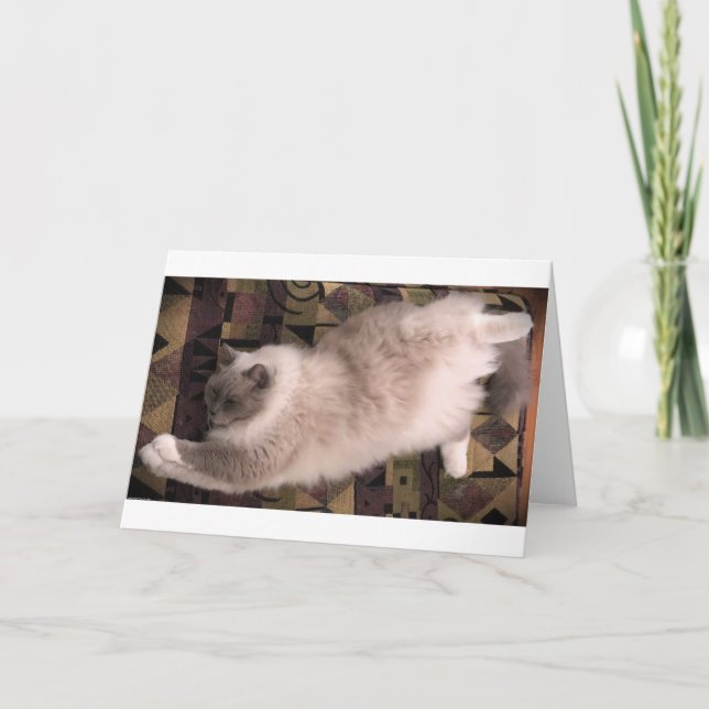 Días lentos, tarjeta (Anverso)