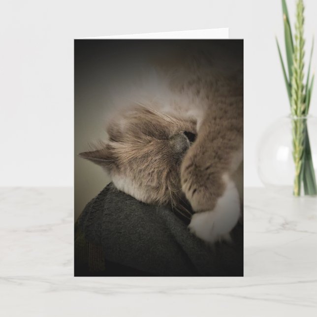 Días lentos, tarjeta (Anverso)