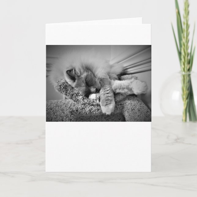 Días lentos, tarjeta (Anverso)