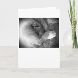 Días lentos, tarjeta