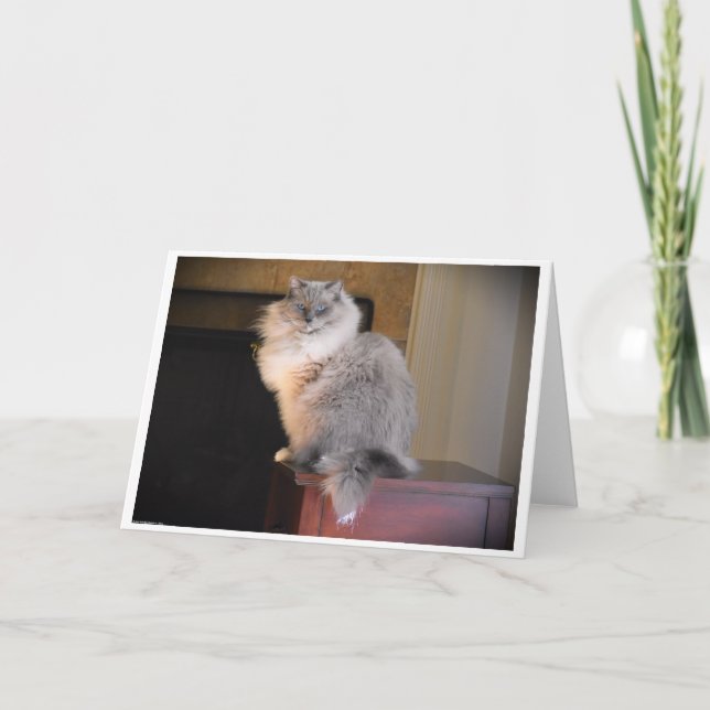 Días lentos, tarjeta (Anverso)