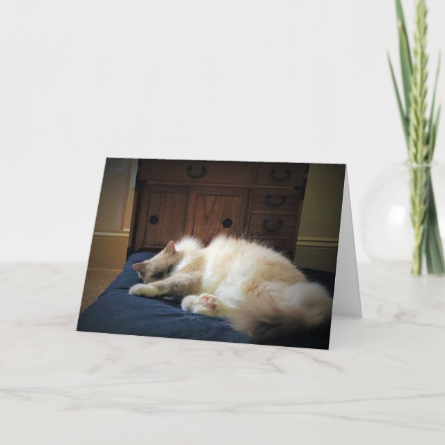 Días lentos, tarjeta (Anverso)