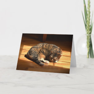 Días lentos, tarjeta