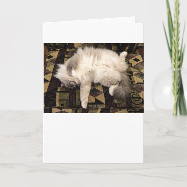 Días lentos, tarjeta (Anverso)