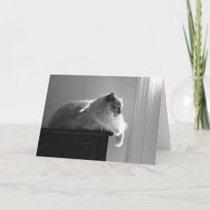 Días lentos, tarjeta