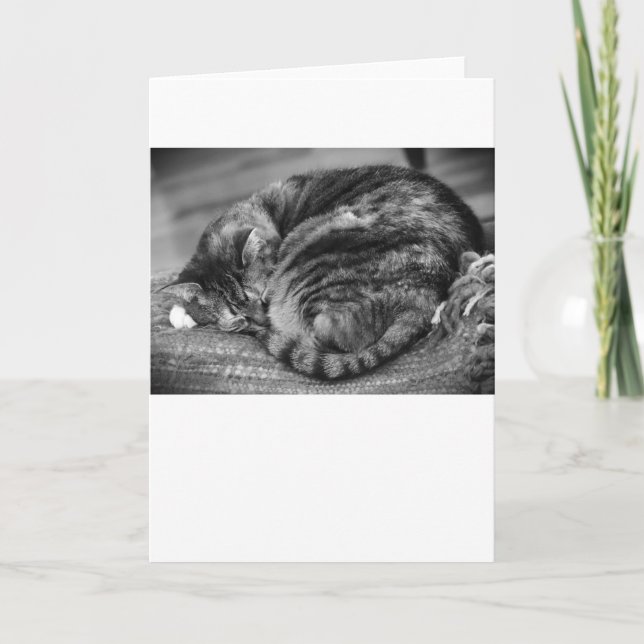 Días lentos, tarjeta (Anverso)