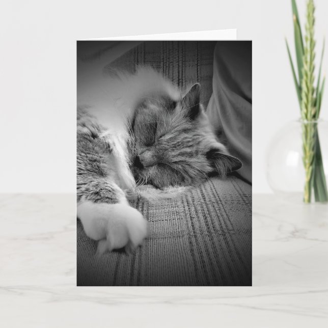 Días lentos, tarjeta (Anverso)