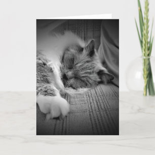 Días lentos, tarjeta