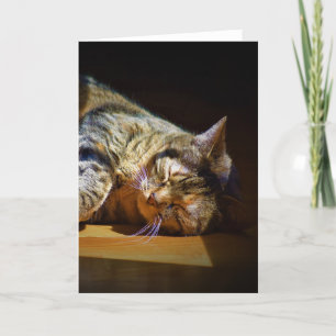 Días lentos, tarjeta