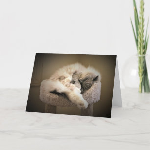 Días lentos, tarjeta