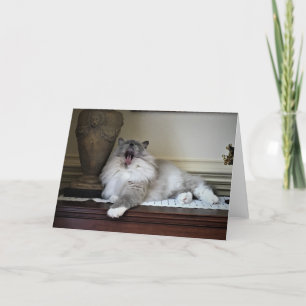 Días lentos, tarjeta