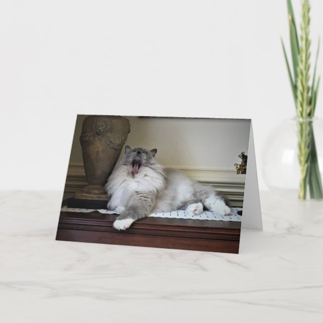 Días lentos, tarjeta (Anverso)