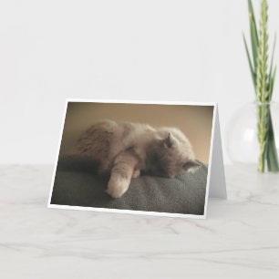 Días lentos, tarjeta