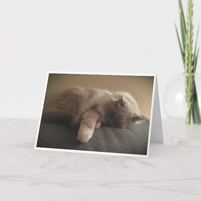 Días lentos, tarjeta (Anverso)