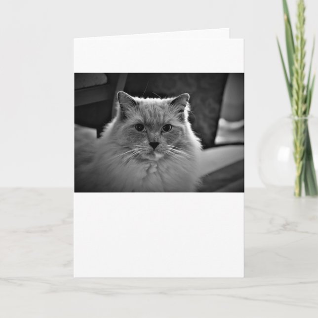 Días lentos, tarjeta (Anverso)