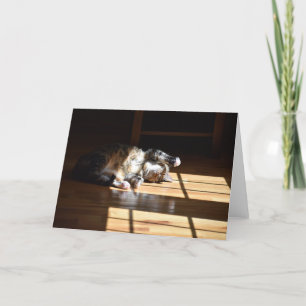 Días lentos, tarjeta