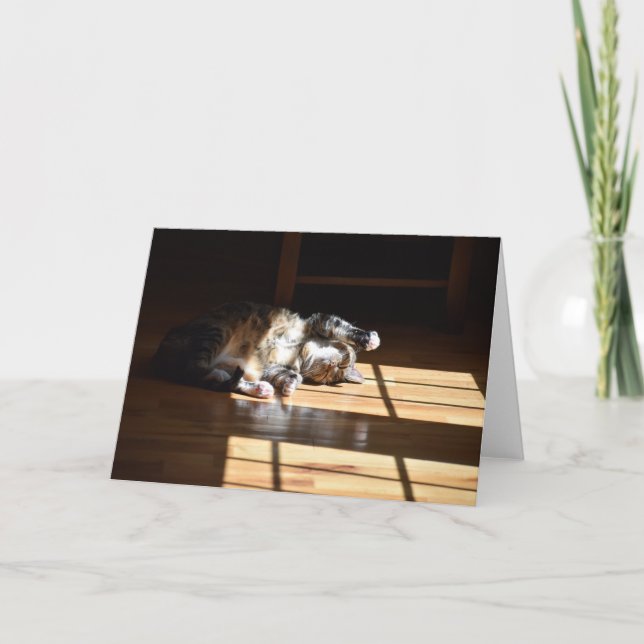 Días lentos, tarjeta (Anverso)