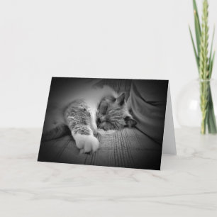 Días lentos, tarjeta