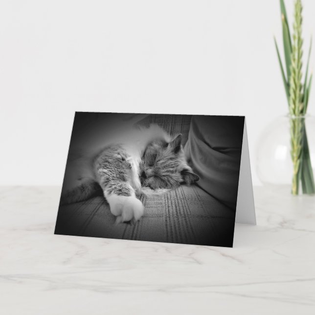 Días lentos, tarjeta (Anverso)