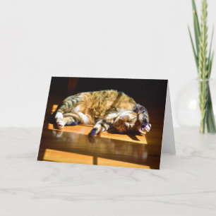 Días lentos, tarjeta