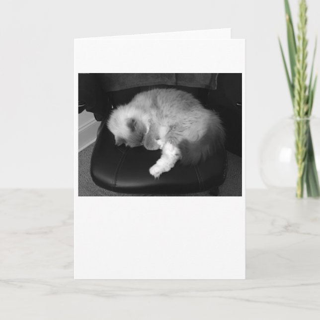 Días lentos, tarjeta (Anverso)