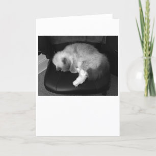 Días lentos, tarjeta