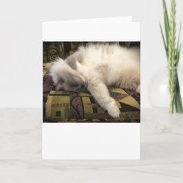 Días lentos, tarjeta