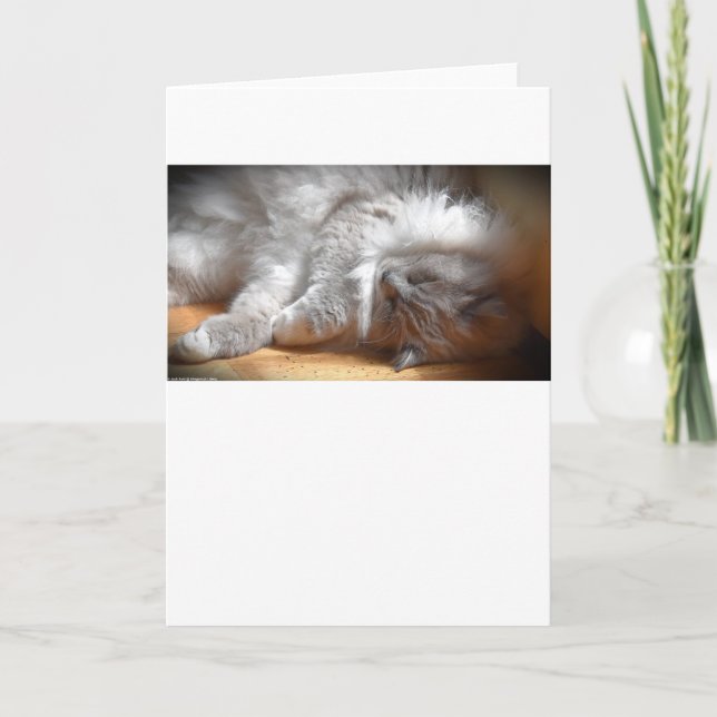 Días lentos, tarjeta (Anverso)