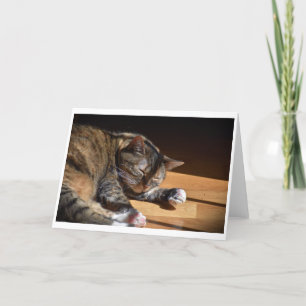 Días lentos, tarjeta