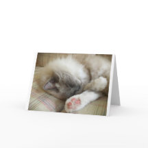 Días lentos, tarjeta