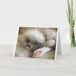 Días lentos, tarjeta