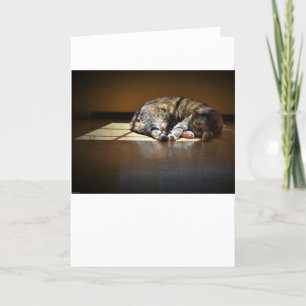 Días lentos, tarjeta