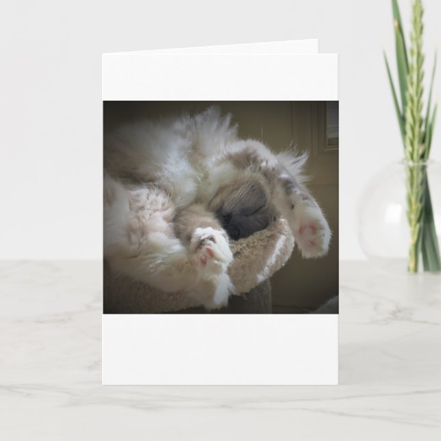 Días lentos, tarjeta (Anverso)